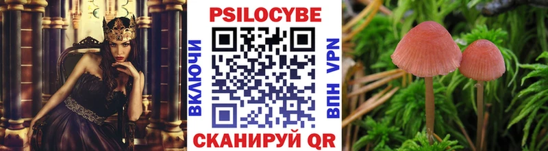 Галлюциногенные грибы мицелий  магазин    Березники 