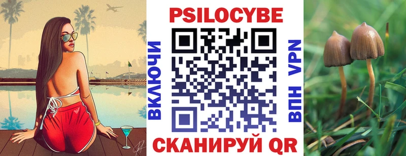 Псилоцибиновые грибы ЛСД Березники